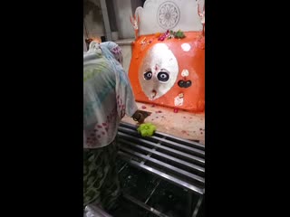 Video 20201006 105400 mp4