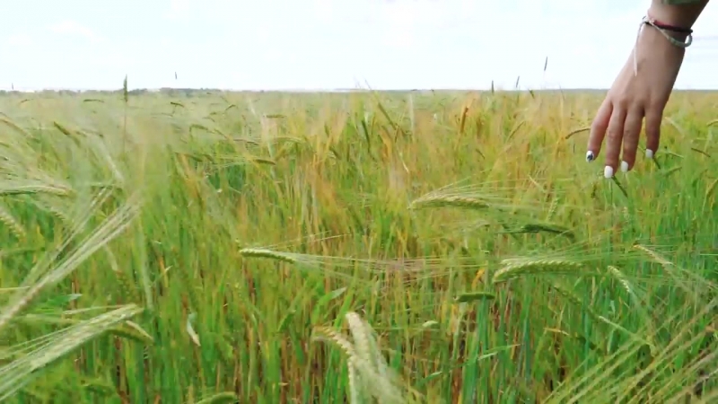 Айнур каюмов жәйге яңгырым