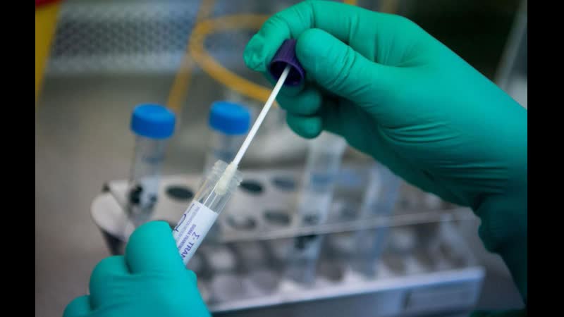 Коэффициент распространения covid 19 в югре ниже единицы уже 11 ый день