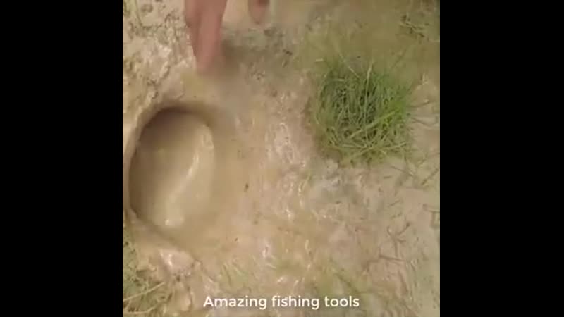 Охотничья змея (vhs video)