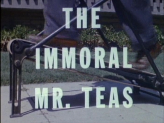 Аморальный мистер тис/immoral mr teas (1959, сша, реж расс мейер)