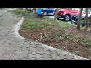 Oneplus 5 eis in 4k recording mode with sample (in hindi)