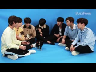 Txt is going to buzzfeed for an interview during their u s debut showcase tour and i hope theyll get along with puppies or kitte