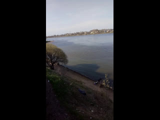 Live наше рыбацкое
