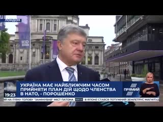 Україна має стати членом нато ніякого іншого способу забезпечити безпеку україни нема