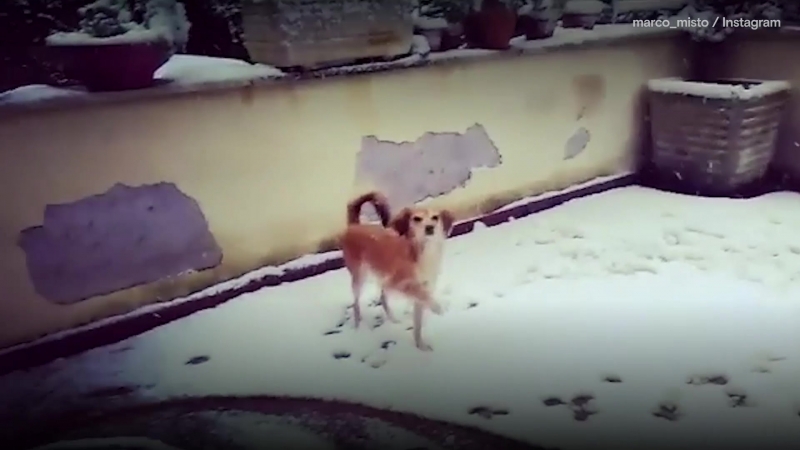 В риме выпал снег закрыты школы, нарушено движение транспорта