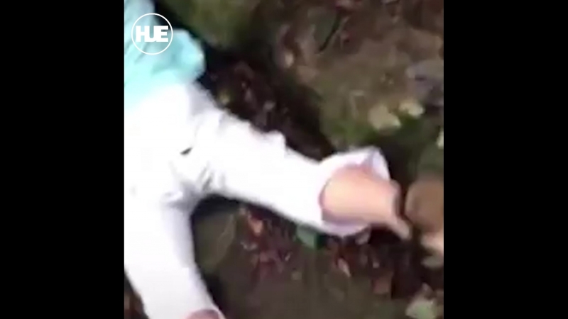 В китайском зоопарке обезьянка ударом сбила с ног маленькую девочку