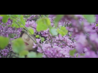 Gustavo elis ❌ danny romero daño ( video oficial )