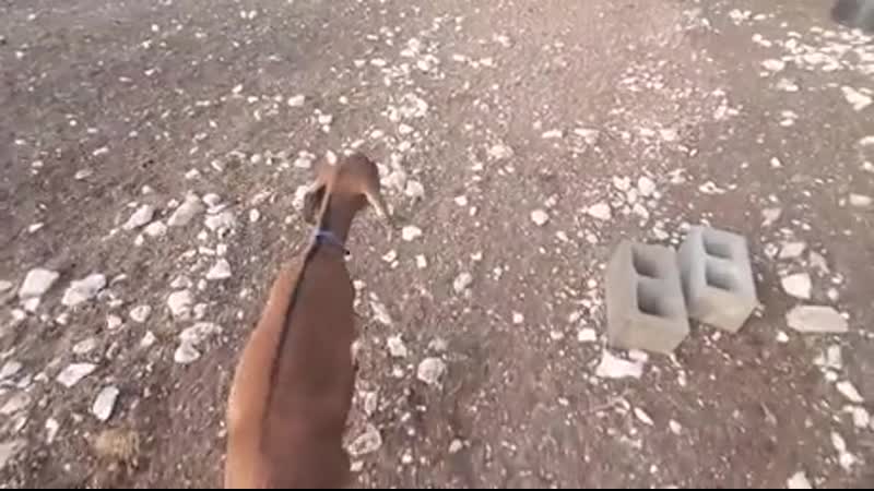 Opal saying hi, bеfоrе shе rеalizеs еvеryоnе еlsе is lеaving hеr