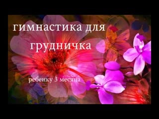 Гимнастика и фитбол