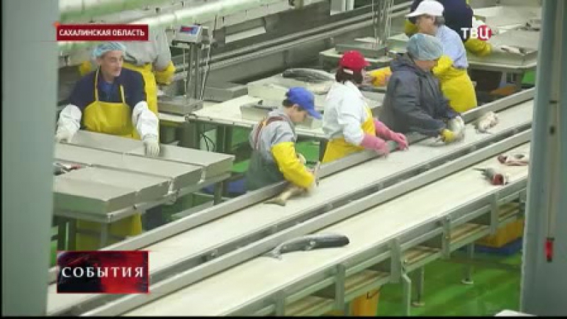 На сахалине задержали гендиректора рыбокомбината "островной"