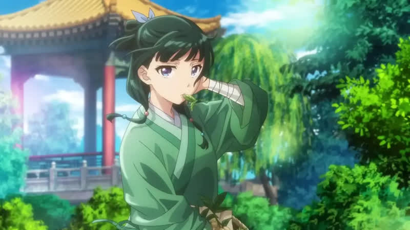 The apothecary diaries (薬屋のひとりごと kusuriya no hitorigoto) producer so how much money will you give, studio yes