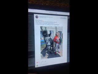 Live конипони песочный