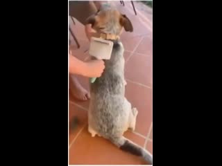 Yeaaahhh thats the g point, honey