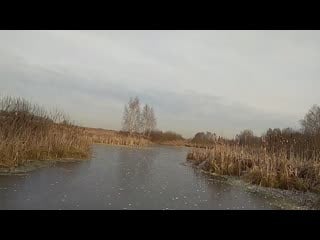 Vid 20191124 124946