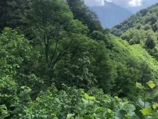 Thu jul 30 174812 gmt+0300