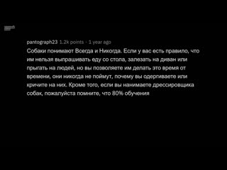 [тучный жаб] что является очевидным для вашей профессии, но неизвестно большинству?