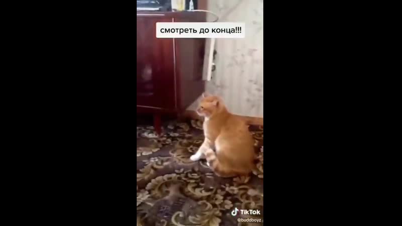 Шерстяной пидорас ))