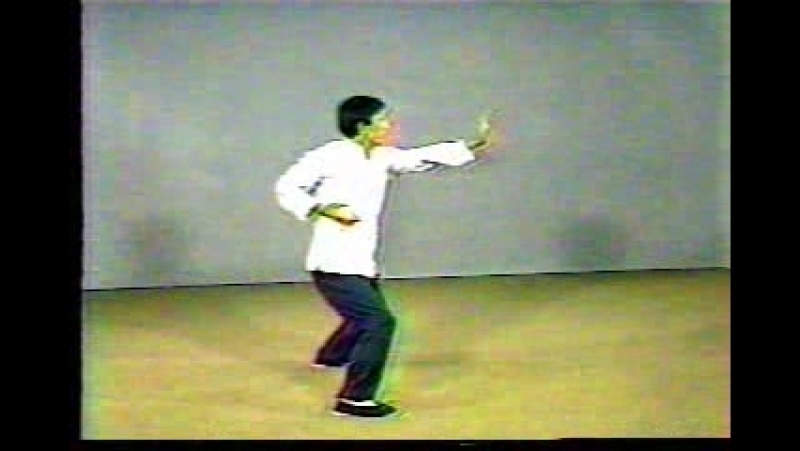 Основы багуачжан от пак бок нама 1