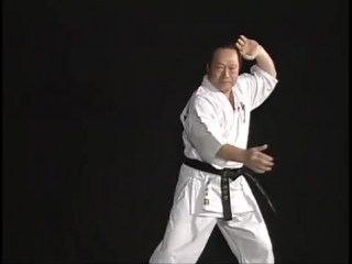 Shukikai karatedo master nariharu kuramoto