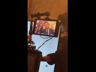 Инстасторис камилы