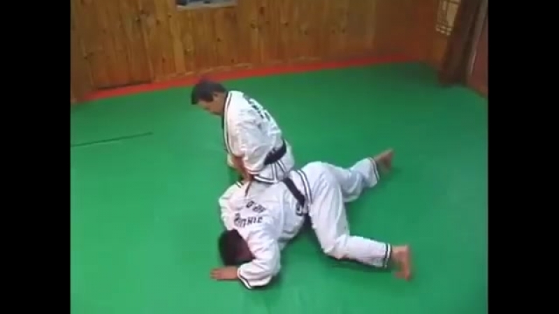 Hapkido korean