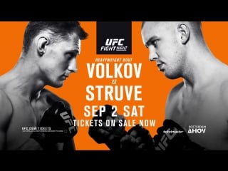Ufc fight night 115 struve vs volkov preview
