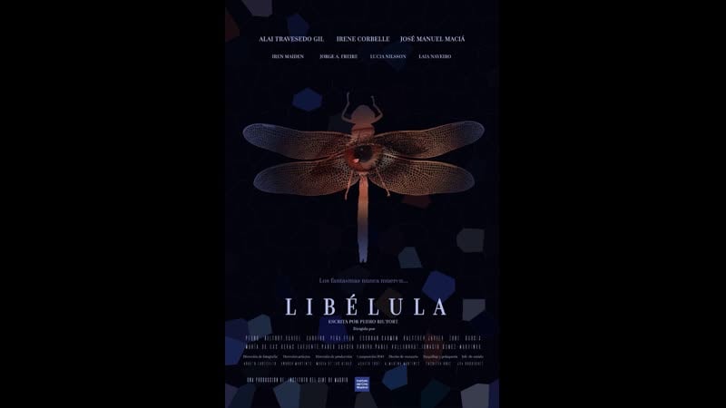 Стрекоза (2022) dragonfly (libélula)