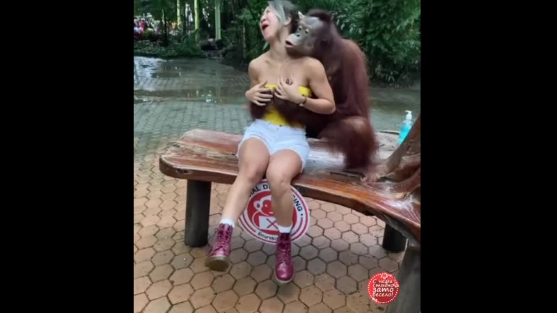 Настоящий ловелас! ))