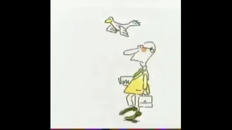 Ебанная в пизду чайка настолько ахуела что срёт с неба на людей и за это ей дали пизды