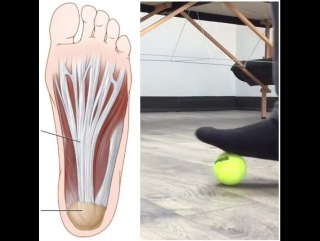 Here's a great way to open up your plantar fascia