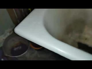 Vid 20200501 120332 mp4