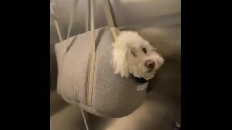 Неожиданная находка в туалете