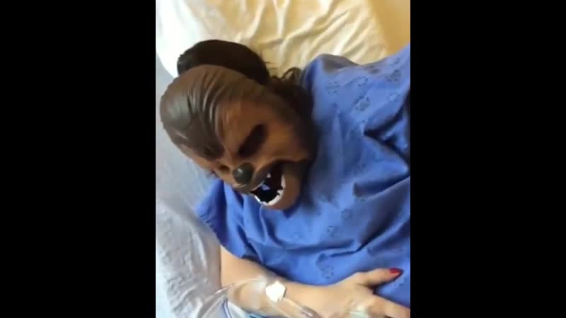 Чубака рожает