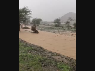 المدينة الآن 💚madinah now 💚💦