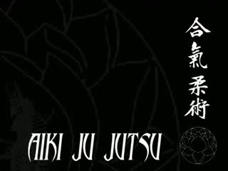 Brunei aiki jujutsu projections & kyusho