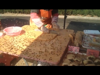 Chinese street food adventures bee mochi! モチ 麻糬 máshu