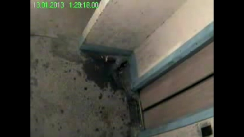 Видео камера в подъезде запечатлела обоссанца