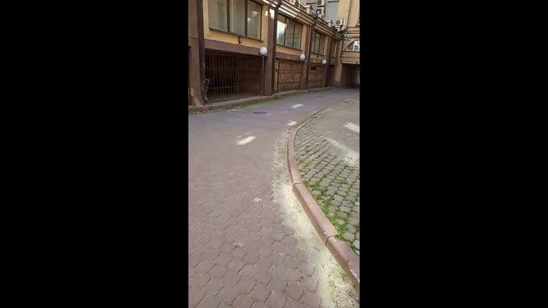 Наши партнёры daphne