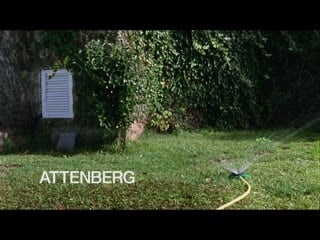 Аттенберг / attenberg (2010) реж афина рахель цангари [1080p] (rus sub)