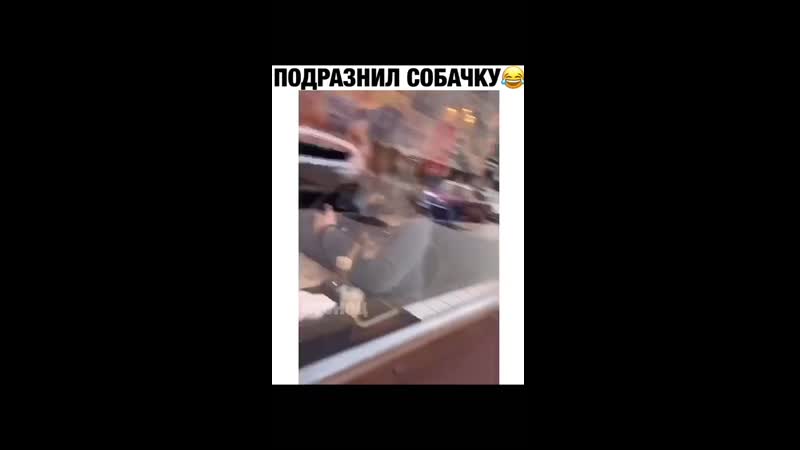 Подразнил собачку
