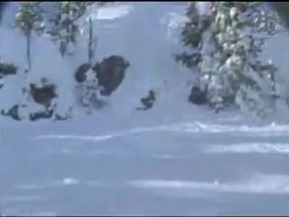 Wildcats new movie "still bastards" teaser