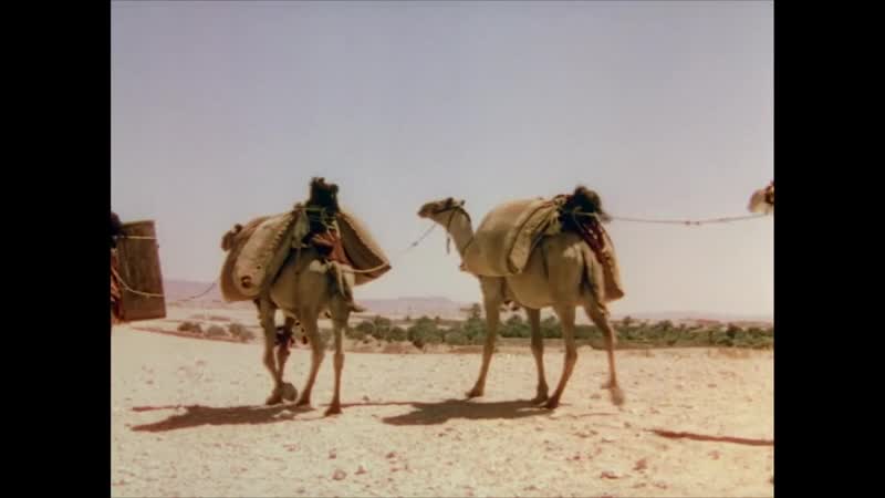 Ruins of palmyra and baalbek (1938)
