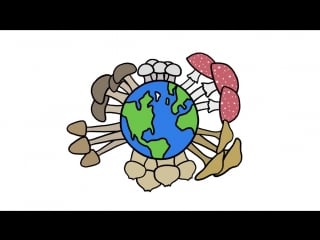 Как грибы образуют дождевые облака i vam nauka