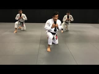 Cobrinha bjj 12 min mobility drills full body workout