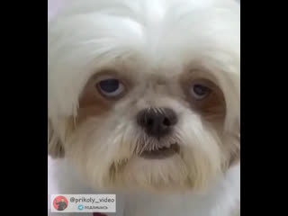 Когда немножко приуныл=)