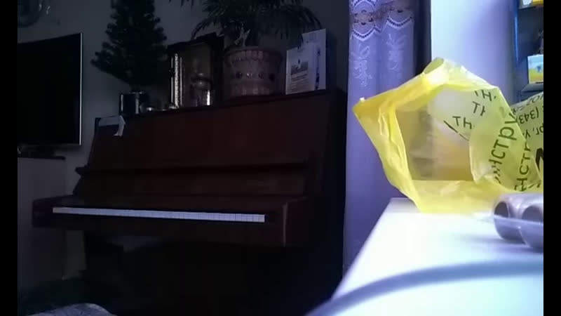 Живое домашнее, немного расстроенное ) играю всё, с импровизацией