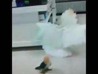 Не на того нарвался (vhs video)