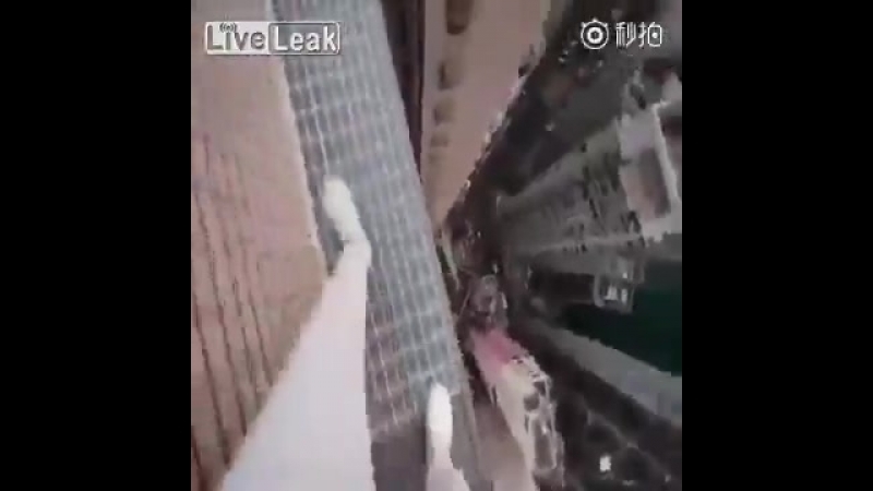 Руфер гуляет по крыше небоскрёба