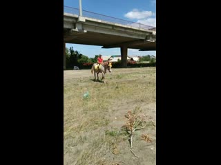 Vid 20200804 120503 mp4